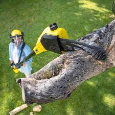 Best Lawn Maintenance Plans  in Ridgefield, WA